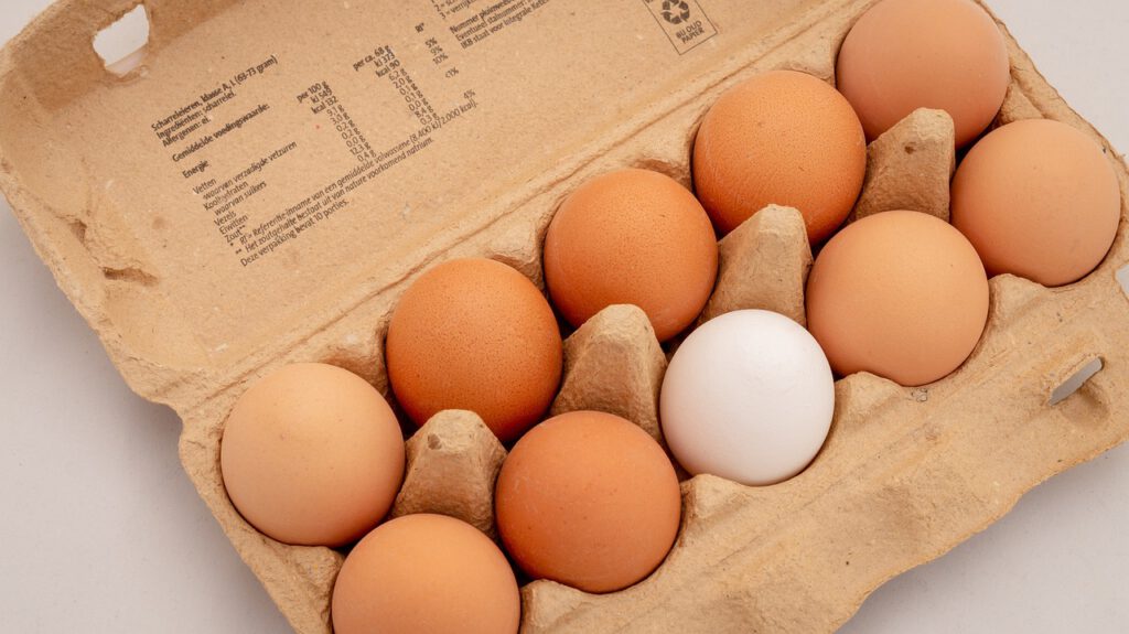 Der Blick von oben in eine geöffnete Eierpackung. In der Packung sind neun braune Eier und ein weißes Ei.